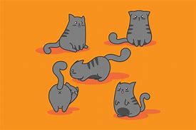 Image result for Chonky Cat Cartoon