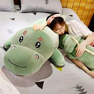 Image result for Dinosaur Plush Pillow