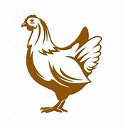 Image result for Broiler Rooster