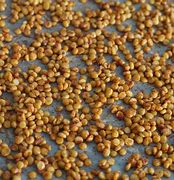 Image result for Roasted Chana Dal