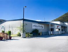 Image result for Kodiak Bear Anchorage Airport