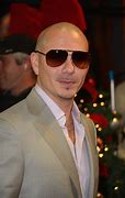 Image result for 90s Pitbull Artist