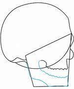 Image result for 3 4. Profile Skull Drawing