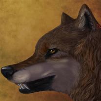 Image result for What Is a Wolfish Grin