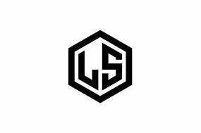 Image result for LS Logo