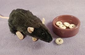 Image result for Rat Plushie Black