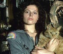 Image result for JonesY Cat Alien