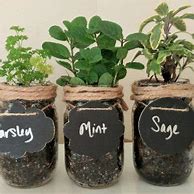 Image result for DIY Mason Jar Herb Garden