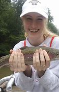 Image result for Trout Swimming