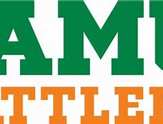 Image result for FAMU Snake Stencil