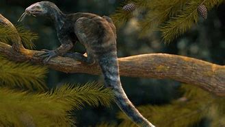 Image result for Pterosaur Beach