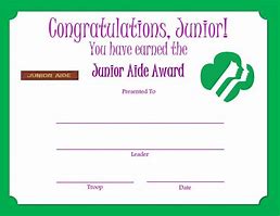 Image result for Girl Scout Awards List