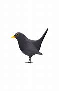 Image result for Blue Bird. Emoji