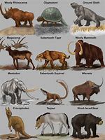 Image result for Extinct Animals Drawing