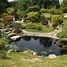 Image result for Japanese Garden Layout