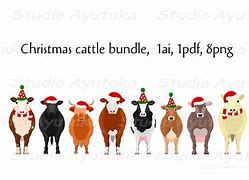 Image result for Christmas Cattle