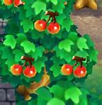 Image result for Animal Crossing New Leaf Fruit