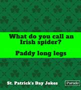 Image result for Funny Saint Patrick's Day