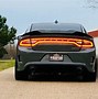 Image result for Best License Plate Names Wolf