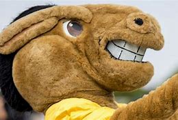 Image result for UCO Mascot