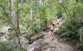 Image result for Hamilton Pool Preserve Hiking Trail Map