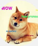 Image result for Loimu Doge