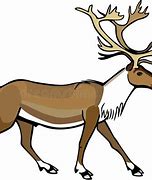 Image result for Caribou Reindeer Clip Art