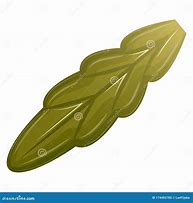 Image result for Realistic Leaf Clip Art