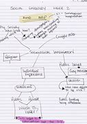 Image result for Mind Map Notes