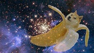 Image result for Doge Meme Wallpaper Good Quality