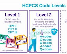 Image result for Series of CPT Codes