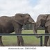 Image result for Park Ranger Truck with Claw Marks