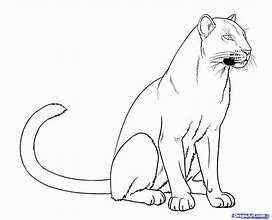 Image result for Panther Drawing