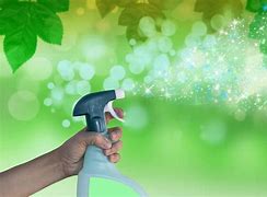 Image result for Eco Cleaning Products