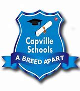 Image result for Capleville School