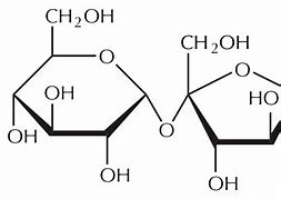 Image result for What Is Sucrose