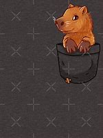 Image result for Capybara Shirt Roblox