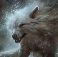 Image result for Amarok Wolves