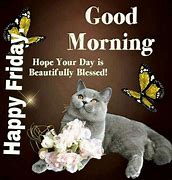 Image result for Good Morning Cat Friday