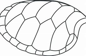 Image result for Turtle Shell STL