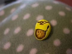 Image result for Minion Nut