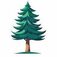 Image result for Pine