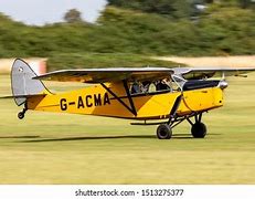 Image result for Fleet Air Arm Leopard Moth