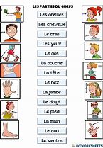 Image result for Les Parties Du Corps