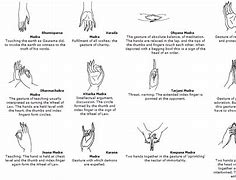 Image result for Different Mudras