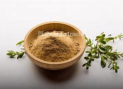 Image result for Thyme Powder