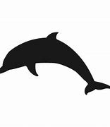 Image result for Dolphine Smile PNG