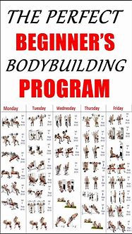 Image result for Men Bodybuilding Workout Routines