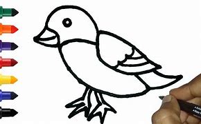 Image result for How to Drawing Bird