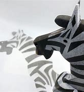 Image result for Zebra Shadow